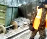 "200 метров путей как сбрило": появилось видео с места крушения товарного поезда на БАМе