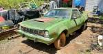 AMC Hornet 1975 года, спасенный от Crusher, — загадочный маслкар