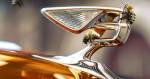 Bentley собрала рекордные 1000 банок меда со своих летающих пчел