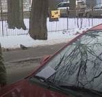 Автоэксперт прокомментировал новый способ вымогательства денег у водителей