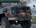 Этот военный автомобиль превратили дом на колесах выглядит готовым к бою