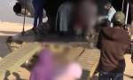 Эвауированные из Ирака дети доставлены домой