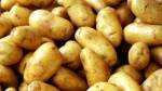 Госконтроль раскрыл криминальную схему экспорта сельхозпродукции