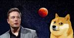Илон Маск проявляет любовь к лучшему другу человека: Tesla Frunkpuppy Floki