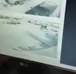 Камера сняла жестокое убийство женщины на парковке около гипермаркета в Подмосковье