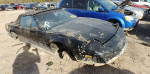 Кто-то бросил редкий Pontiac Firebird на свалке. Стоит ли его спасать?