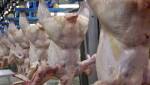 МАРТ проводит расследование по поводу резкого роста цен на мясо птицы