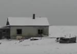 Медвежья осада: хищники зачастили в чукотское село