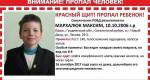 МВД: Поиски пропавшего почти год назад Максима Мархалюка продолжаются