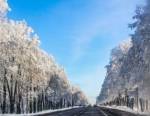 Погода на выходные: снег, дождь, гололед и туман