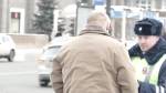 Полицейский, остановивший поток машин из-за хромого пса: Любой на моем месте поступил бы также