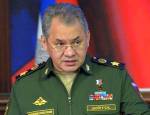 Шойгу обсудит сирийское урегулирование с главой Минобороны Турции