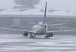 Снегопад нарушил работу столичных аэропортов