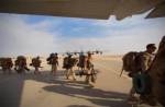 Союзники США отказались оставаться в Сирии после вывода американских войск