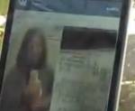 Студентка из Майкопа пристроила в приют котенка за 340 тысяч