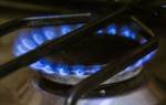 В Бресте лже-газовики предлагали установить приборы за 250 рублей