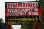 В Брестской и Витебской области ввели запрет на посещение лесов