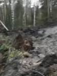 В Челябинской области в горном районе сошел оползень