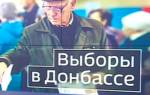 В ДНР и ЛНР завершились выборы