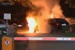 В Германии волонтеры специально устраивали пожары