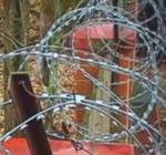 В Красногорске уничтожают парк, признанный объектом культурного наследия