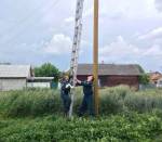В Рогачёве спасатели вернули в гнездо трёх снесённых ветром аистят