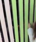 В Сети обсуждают видео с ребенком, забытым на веранде детсада