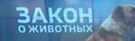 В Совете Федерации рассмотрят законопроект "Об ответственном обращении с животными"