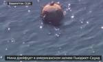 В залив рядом с американским Сиэтлом заплыла огромная мина