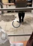 Видео: консьержка напала на студентку с кулаками за то, что у нее не было пропуска