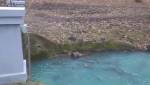 Видео: в Калининграде воды Паркового ручья стали бирюзовыми