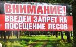 Введен запрет на посещение лесов в 72 регионах Беларуси