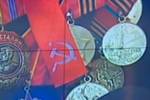"Забота о ветеранах": возможность поправить здоровье и найти интересное дело