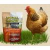 Animal Grow - биоактивный комплекс для животных.