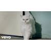 Katy Perry - Roar: From A Meow To A Roar(Single Preview)