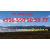 Travel in kyrgyzstan, tourism, excursions, guide, hiking in mountains, driver