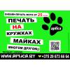 Печать на футболках гомель