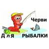 Наживка и прикормка из червя круглый год