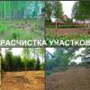 Уборка участка. обслуживание. посадка. обрезка.