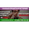 Профессиональная помощь в получении документов