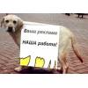 Расклейщик объявление. Смотреть видео онлайн.