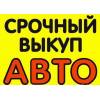 Продать авто быстро за 30 минут на vikupauto.